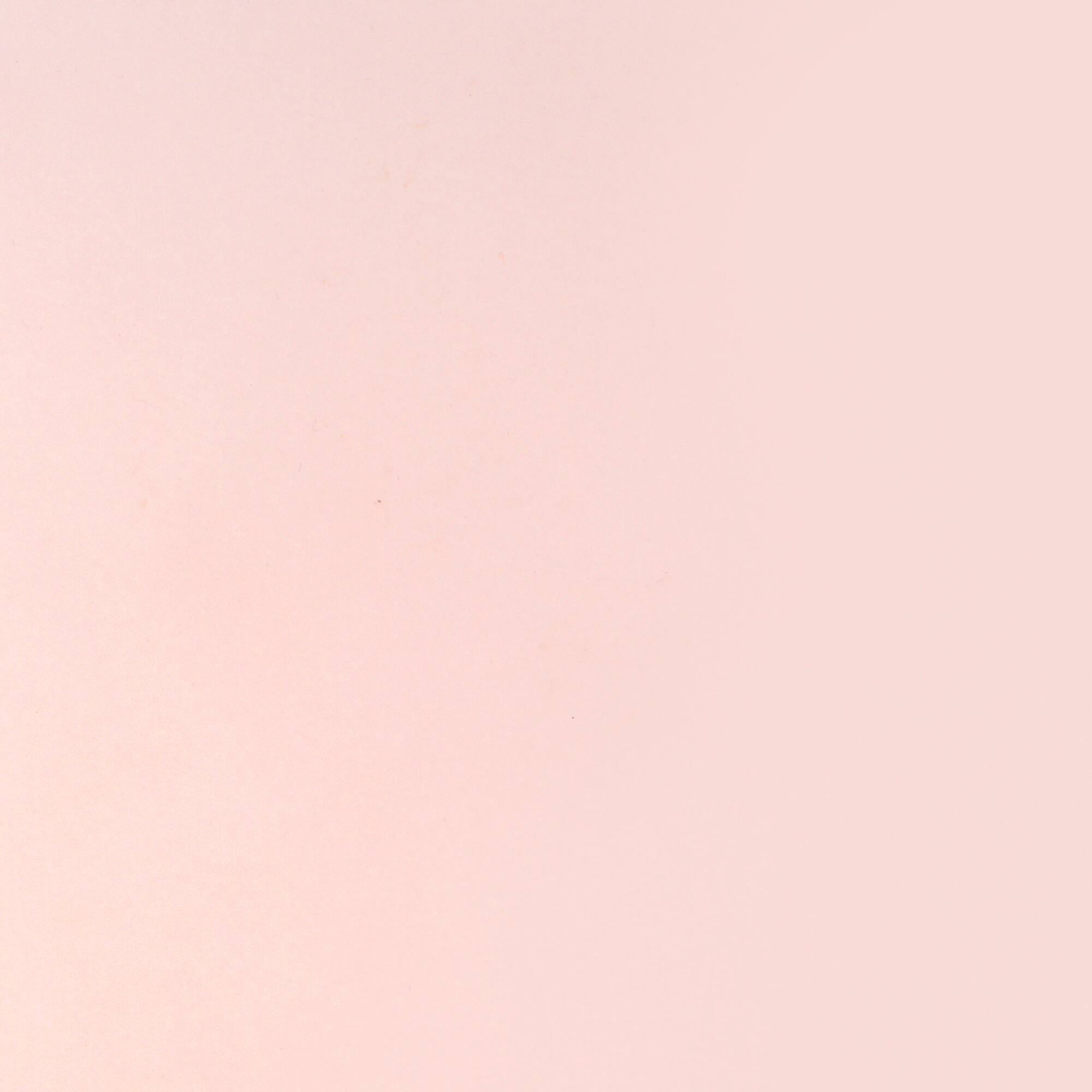 12" x 12" Pink Vellum Paper by Recollections™